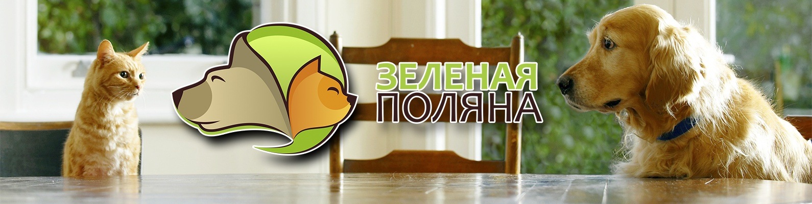 Магазин Зеленая Поляна Воронеж Магазин Зеленая Поляна Воронеж