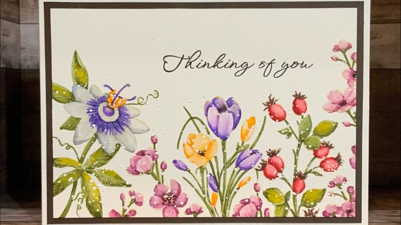 Sweet Poppy florals No line water colour video,