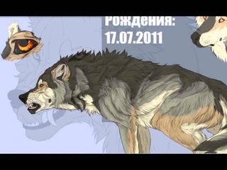 wolf speedpaint