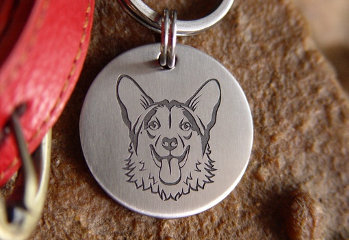 адресник для собаки. красивые жетоны для собак. гравировка для собак спб. гравировка для собак спб. адресники для собак с гравировкой.