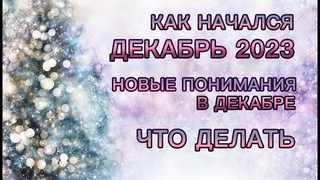 КАК НАЧАЛСЯ ДЕКАБРЬ 2023