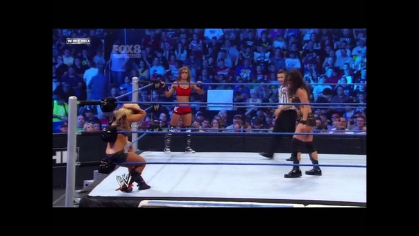 WWE Friday Night Smackdown AJ Lee Kaitlyn vs Tamina Alicia Fox ( June 3,
