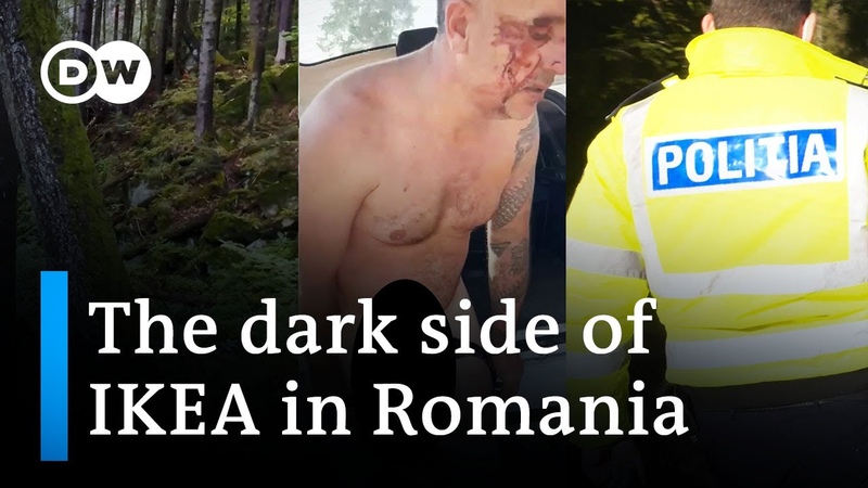 Wood Mafia country: The dark side of IKEA in Romania, DW