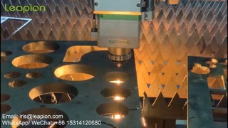 Leapion LF 2000W fiber laser cutting machine cut 20mm CS