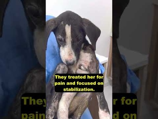 She suffered from life-threatening wounds and had been discarded in a remote area