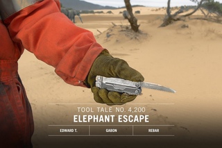 Tool Tales: Elephant Escape