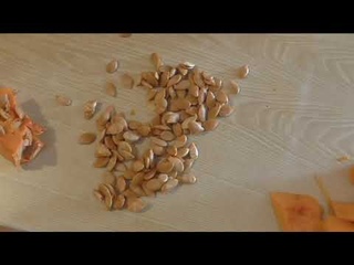 Молотые с кожурой семечки тыквы и кабачков