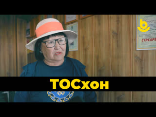 ТОСХОН Солидарность