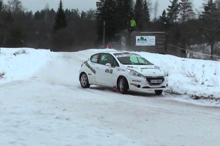 Rally Sarma 2015  Actions