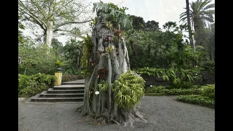 Botanical Garden (