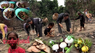 สักข้าวไร่ ใด้เห็ดละโงก เห็ดหวายเยวอมา&#