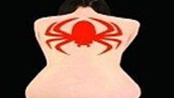 LA MUJER TATUADA (1966) de Yasuzo Masumura con Ayako Wakao, Akio Hasegawa, Gaku Yamamoto by