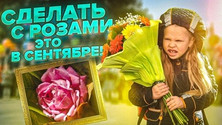 РОЗЫ В СЕНТЯБРЕ. ОБРЕЗКА. ПОДКОРМКА. БОРЬБА С ВРЕДИТЕЛЯМИ