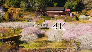 【愛知の桃源郷集落】川売 梅の里を訪ねて - JAPAN in 4K
