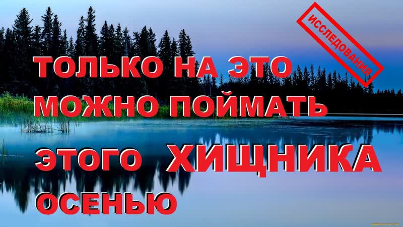 КАК Показывают ИССЛЕДОВАНИЯ только зная ЭТО вы СМОЖЕТЕ