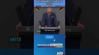 Marc Bernhard liest Habeck die Leviten