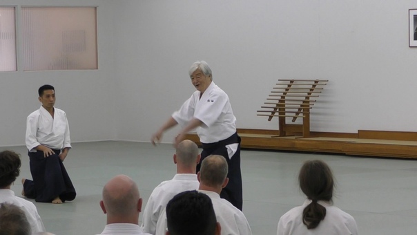 2017 Osensei Memorial Seminar Class 3 Y Yamada 1080