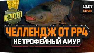 Русская Рыбалка 4  Стрим на Медвежьем озере.