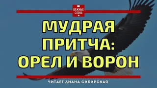 Мудраяпритча Орел и ворон. #ВажныеСлова, #Мудро,  #Ожизни #Задумайся  #Мотивация #ДианаСибирская