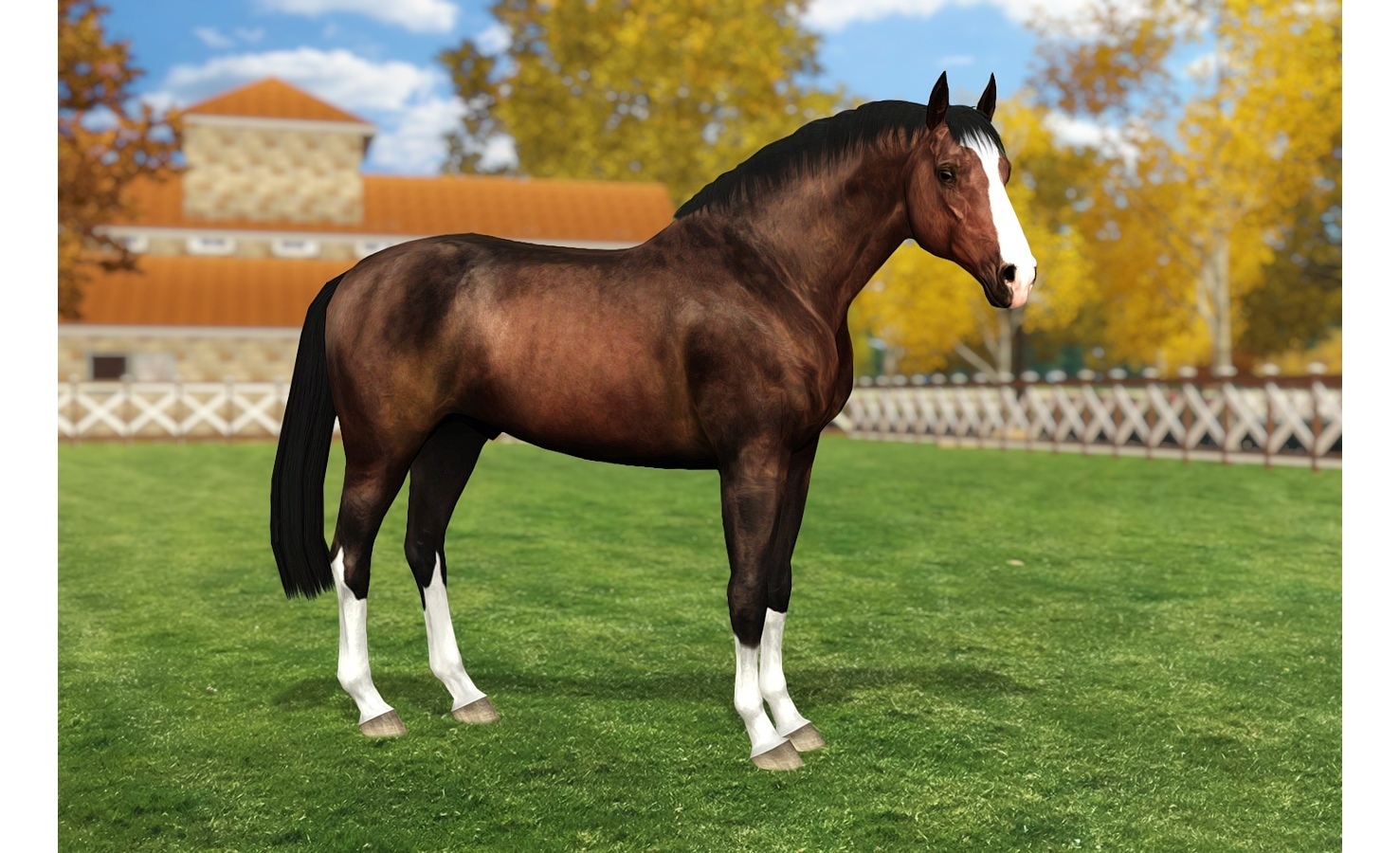 Horse image