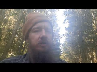 Вавило и скоморохи. Русский эпос. Russian epic
