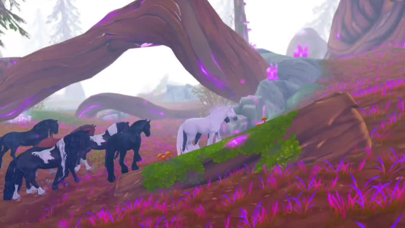 Видео от Blackx