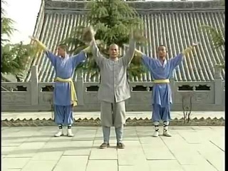 Shaolin Xiao Luohan Quan