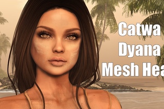 Catwa Dyana Basic Female Mesh Head in Second Life