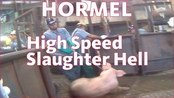 Hormel: USDA Approved High Speed Slaughter