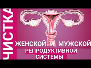 🔴ЧИСТКА МУЖСКОЙ И ЖЕНСКОЙ РЕПРОДУКТИВНОЙ СИСТЕМЫ 🔴