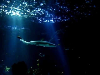 SeaLife Helsinki