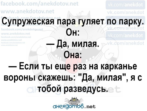 Лучшие анекдоты. Анекдотики. Лучшие анекдоты. Анекдотов. Анекдот нету.