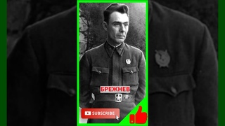 Брежнева называли, как уверял писатель Владимир Войнович, Недоноском