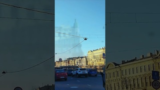 Ищем слонов в петербургском цирке. Необычный Петербург