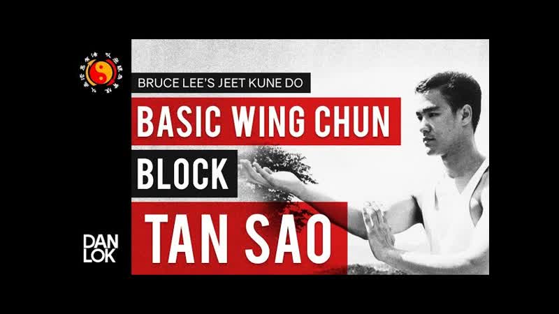 Wing Chun For Beginners Part 2: Basic Wing Chun Block Tan