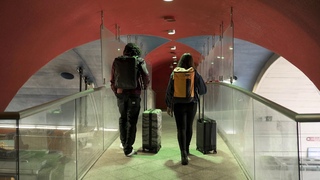 Perfekt fr jede Reise: Die DAKINE CONCOURSE Premium Koffer Serie in 3 Gren