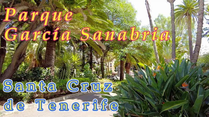 Walking through Parque García Sanabria in Santa Cruz de