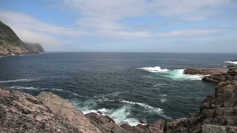 Logy Bay 4 K July 12 2023 Whales at the