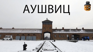 Путешествие по Европе. Польша. Аушвиц - Биркенау. День 5 - Drongo Travel