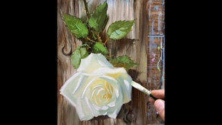 white rose. oil painting    #art #painting  #acrylicpainting #oilpainting #rose