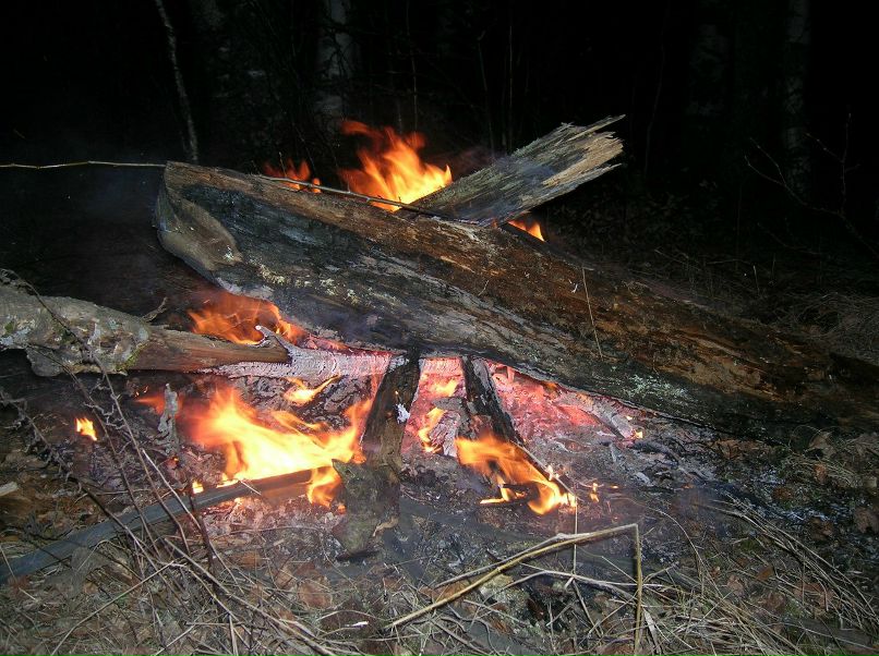 Павел Косолапов | Киров