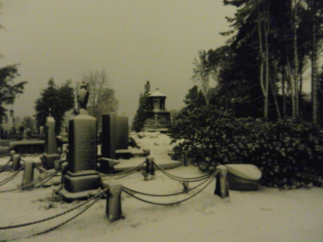 Антон Витушкин | Череповец