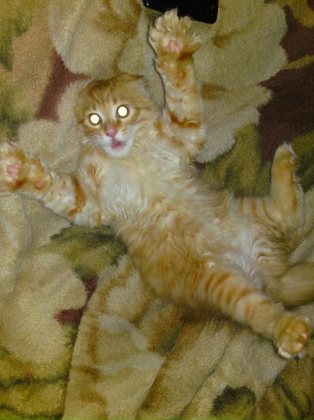 №14, Александр Голочевский, 37 лет, Костюковичи №14, Александр Голочевский, 37 лет, Костюковичи