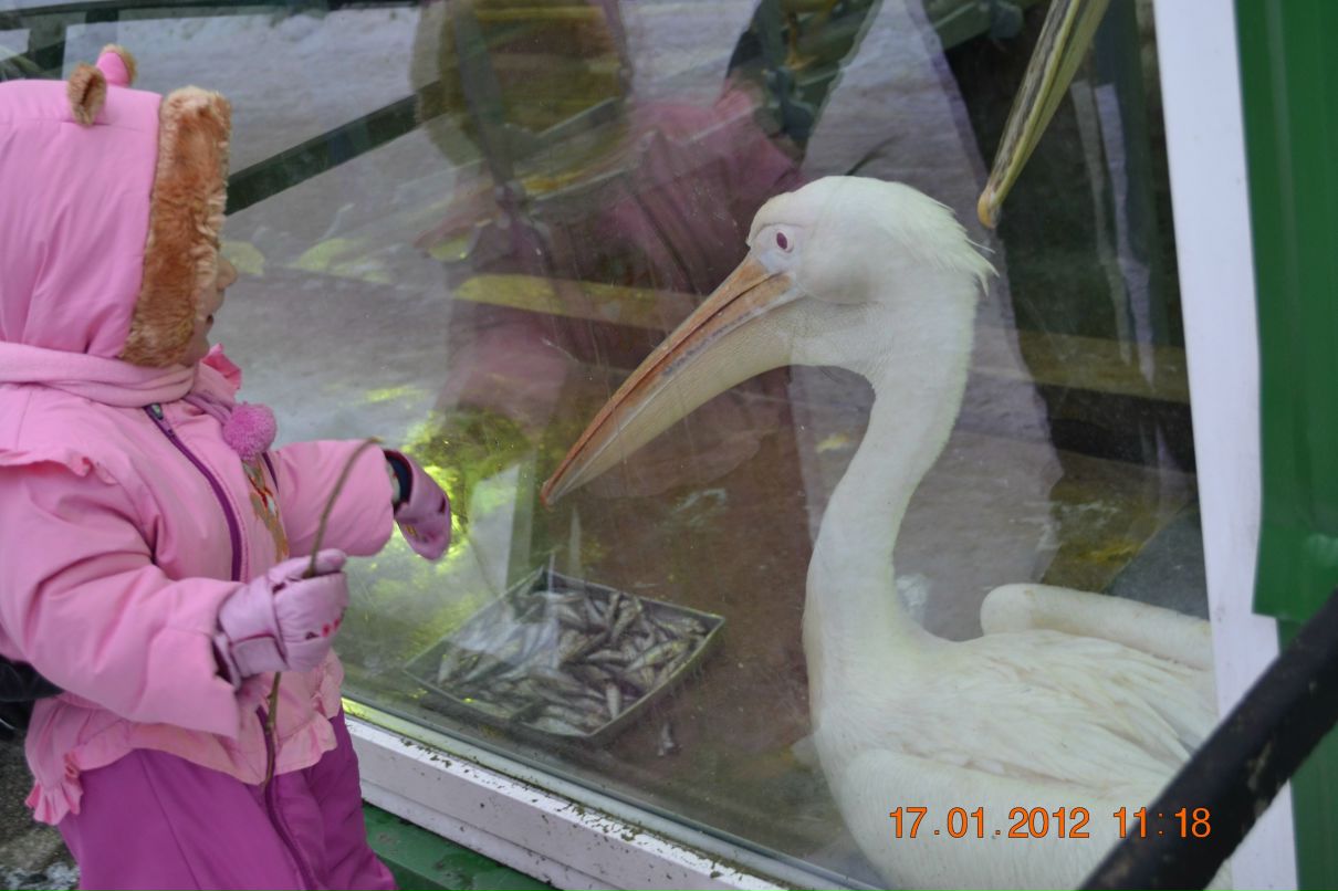 Сергей Юдин | Санкт-Петербург