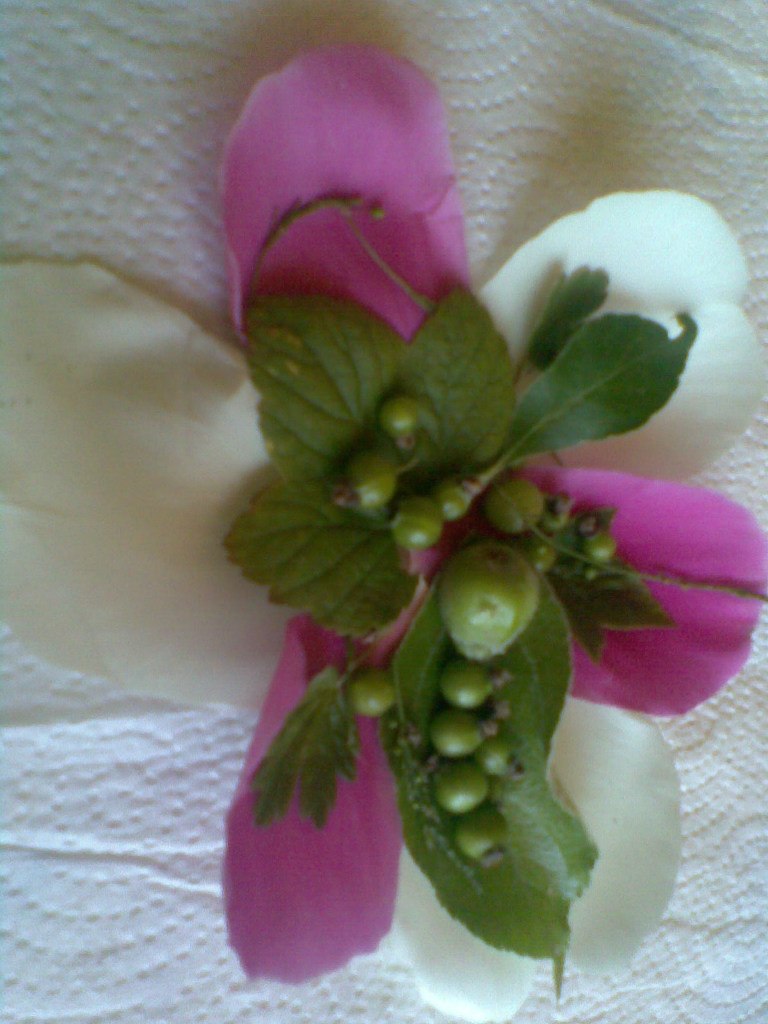 Карина Карпова | Москва