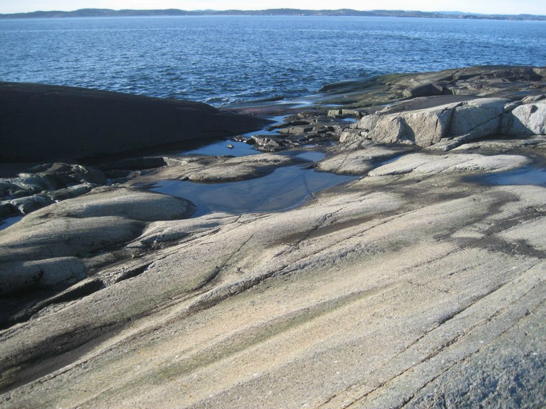 Елена Карлсен | Tønsberg