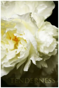 Алёна Федорова | Москва