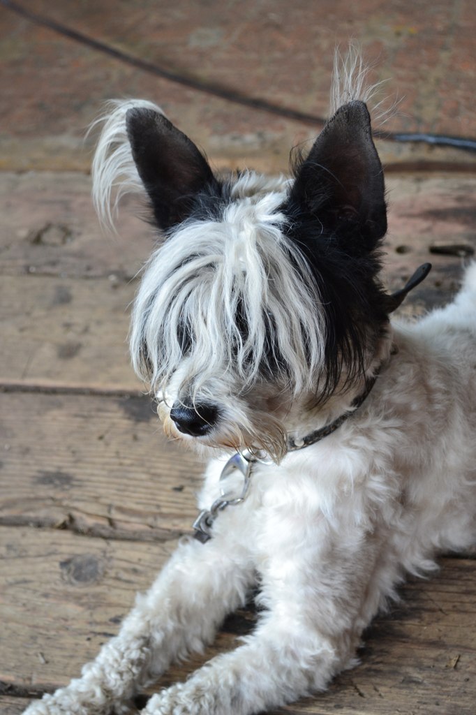 Виталий Лисов | Красноярск