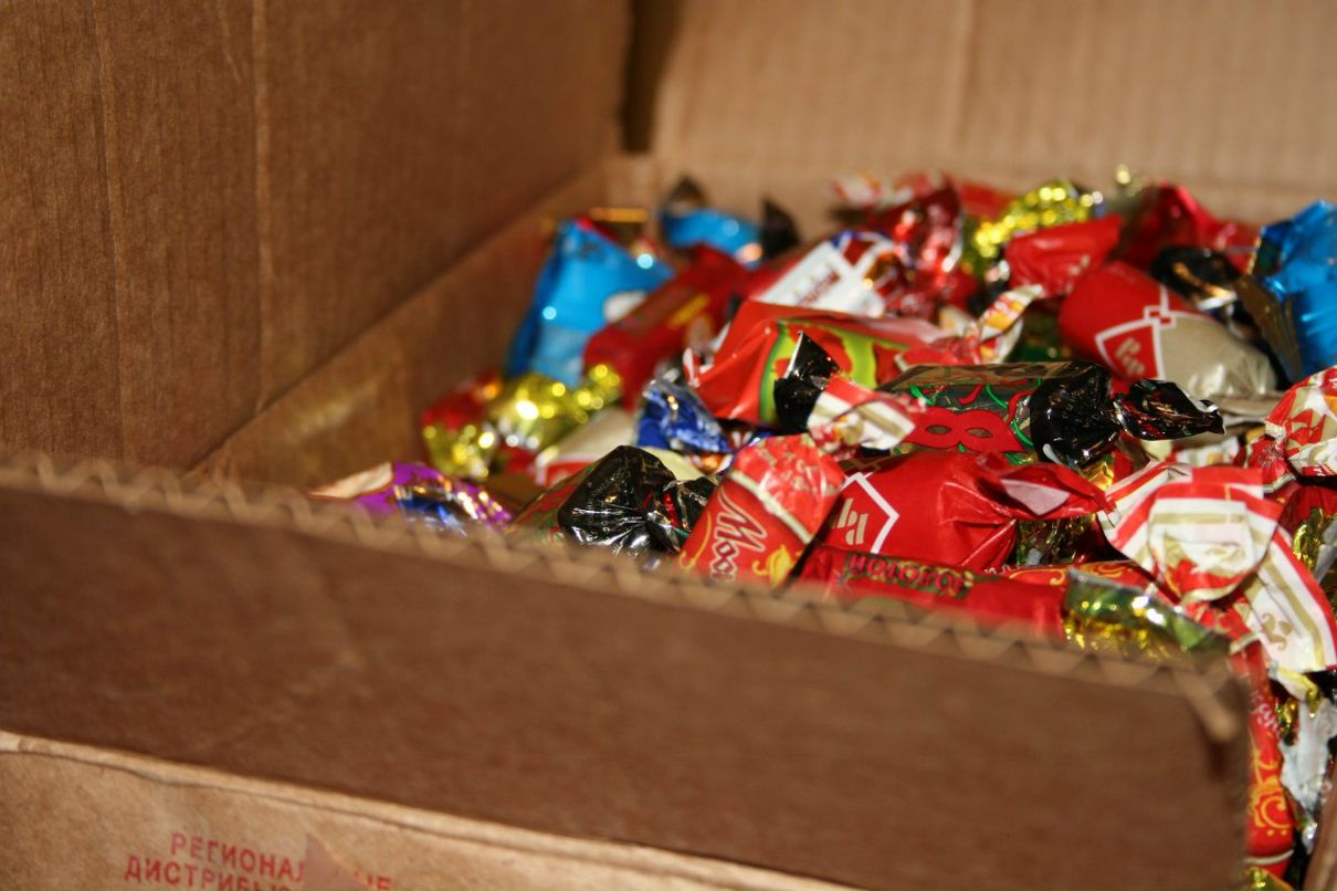 Елена Замочкина | Ставрополь