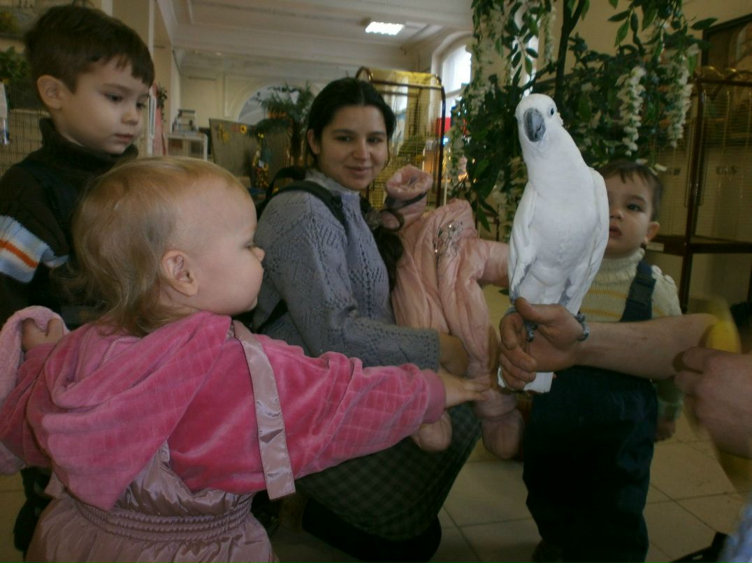 Елена Назарова | Псков